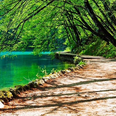 Plitvicka Kuca D - Plitvice Lakes Плитвицкие озёра Экстерьер фото